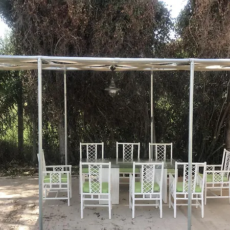 Absolute Serenata